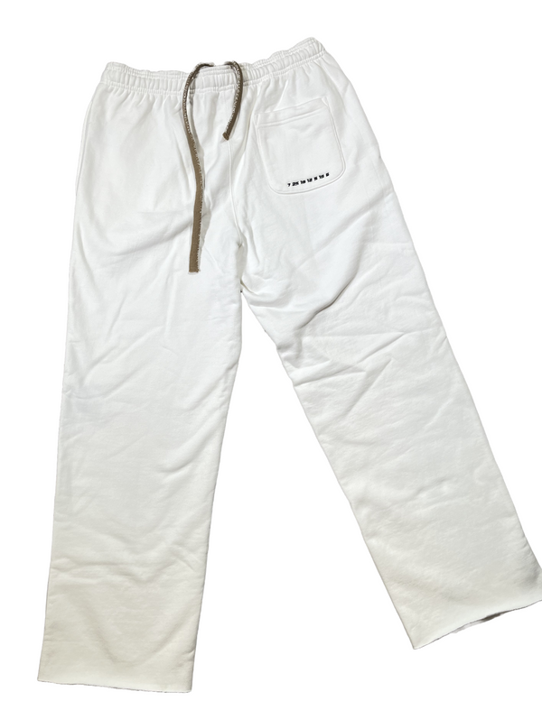 GYSLENE 'V1 "F1 BENZ" Pants'